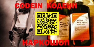 крисы Можга