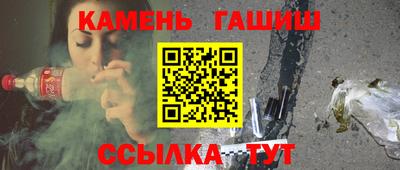 крисы Можга