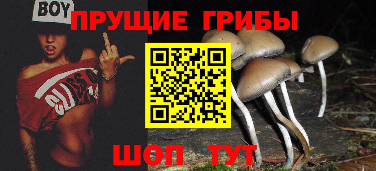 Галлюциногенные грибы Psilocybine cubensis  Псилоцибиновые грибы ЛСД  Верхний Уфалей  Вход с VPN 